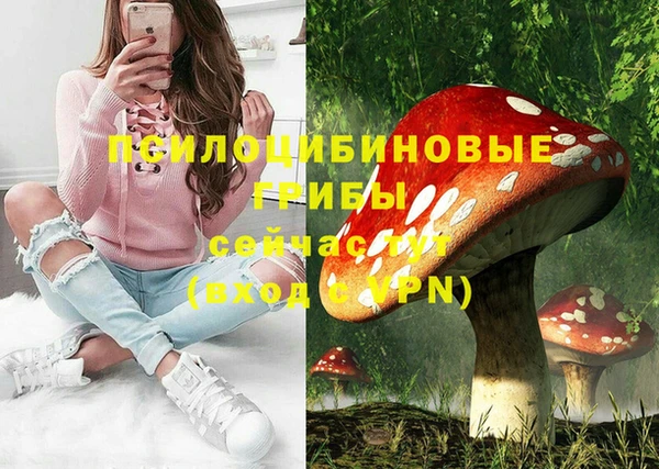 спиды Покровск