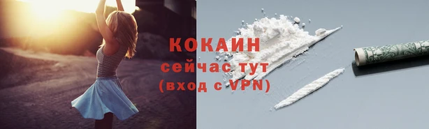 спиды Покровск