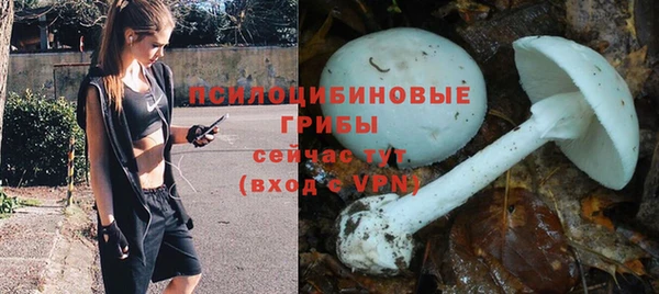 ALPHA PVP Покров