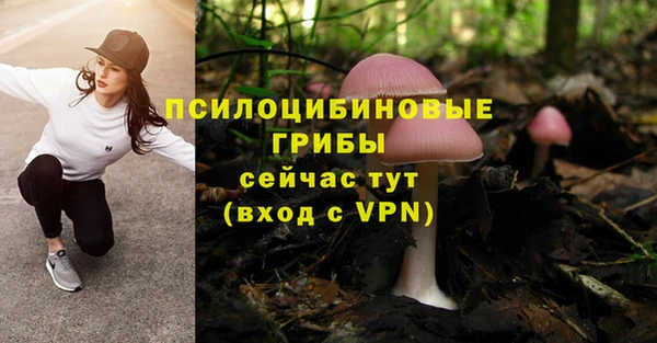 ALPHA PVP Покров