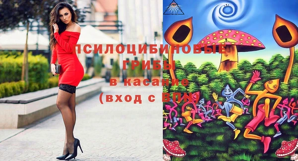 спиды Покровск