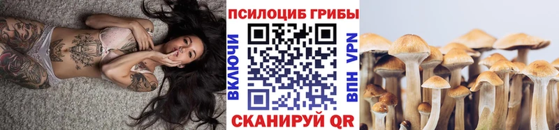 Псилоцибиновые грибы ЛСД  Боготол 